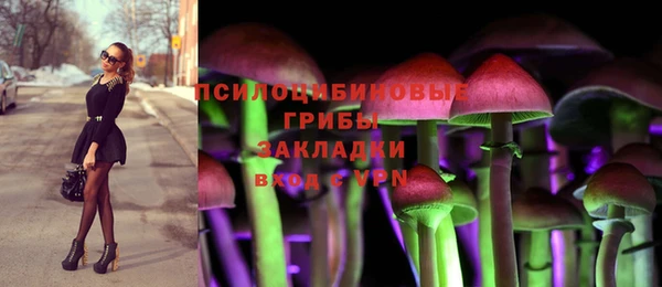 прущая мука Ладушкин