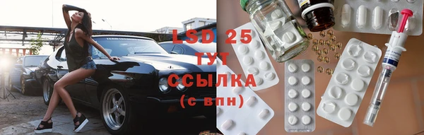 твердый Лагань