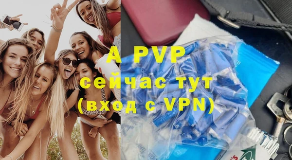 твердый Лагань