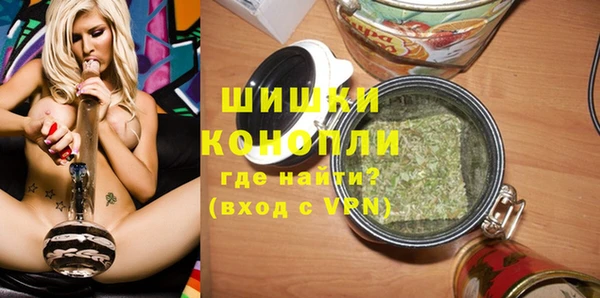 твердый Лагань