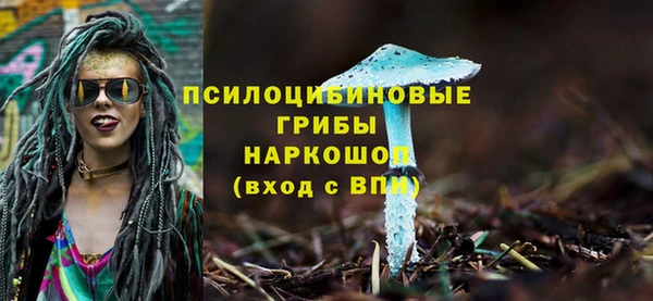 твердый Лагань