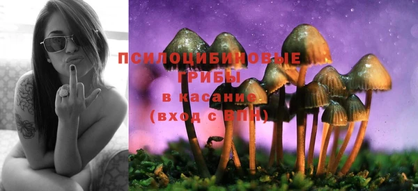 твердый Лагань