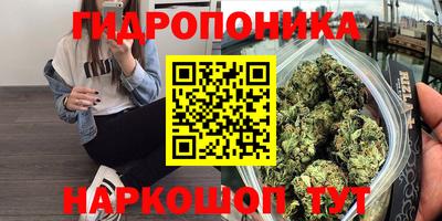 Альфа ПВП Гай