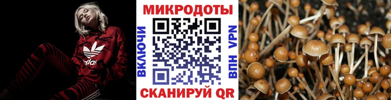 Псилоцибиновые грибы мухоморы Нальчик