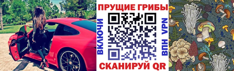 hydra рабочий сайт купить наркотики сайты Нальчик Галлюциногенные грибы Psilocybine cubensis