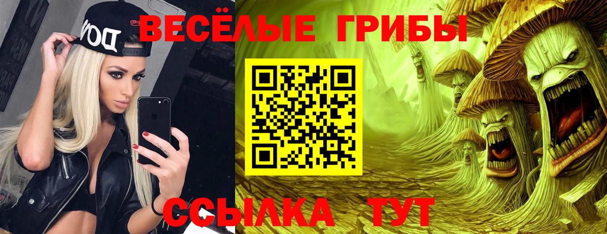 Галлюциногенные грибы Cubensis Нальчик