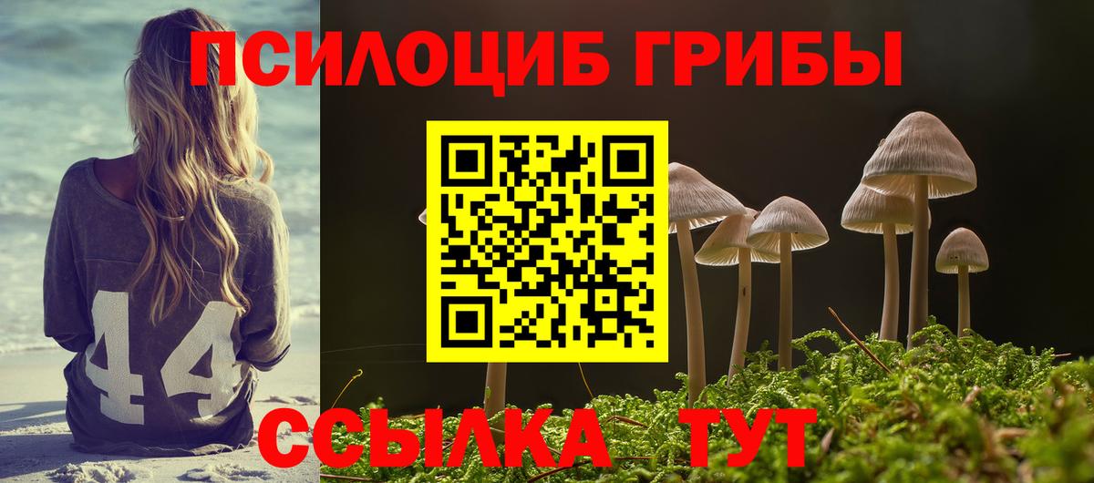 Псилоцибиновые грибы Psilocybe  Вход с VPN  Нальчик  Псилоцибиновые грибы прущие грибы 